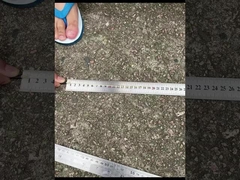 CPRI Bbu Odc-Dlc Cpri Włókno optyczne