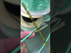 5M Multimode FC Patch Patch PVC i LSZH 3,0 SIPLEX Kabel światłowodowy