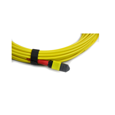 kupować Polarity B Kabel bagażnika MPO Męski na męski 3m 5m 10m Długość schodkowych kabli uprzęży online manufacture
