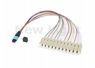 kupować Multi Mode OM3 MPO Kabel MTP 12 rdzeni / 24 rdzenie dla sieci pamięci masowej Fibre Channel online manufacture