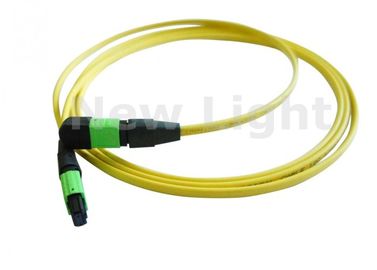 kupować Single Mode 12 Core MPO Kabel MTP / MTP Trunk Cable z APC Polski CE Approved online manufacture