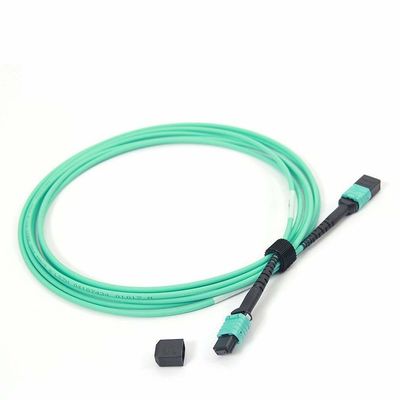 kupować Kobieta MPO do MPO Fiber Patch Cord OM4 50/125 24 Core Multimode z materiałem LSZH 10ft długość online manufacture