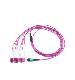 kupować LC MTP / MPO OM4 50/125 Magenta 12-rdzeniowy wielomodowy kabel światłowodowy Materiał LSZH online manufacture