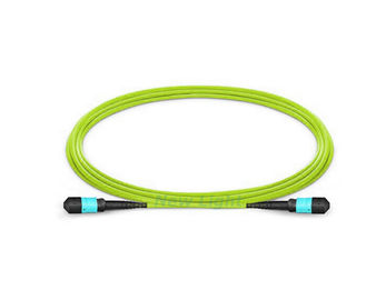 kupować Multi Mode 16-rdzeniowy MPO MTP Kabel żeński OM5 50/125 LSZH 3,0 mm Niskie straty wtrąceniowe online manufacture