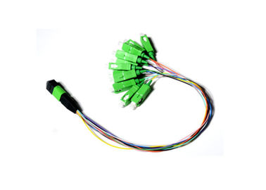 kupować Kabel światłowodowy 0,9 mm 12 światłowodowy / prosty moduł MPO APC Męski TO SC APC online manufacture