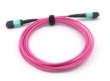 kupować Patchcord MPO DO MPO 12 Kabel światłowodowy OM4 Magenta MPO Przewód magistralny MTP online manufacture