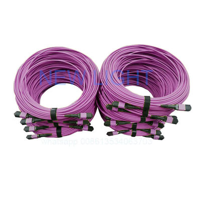 kupować Kabel OM4 12-włóknowy MPO MTP z możliwością dostosowania długości dla centrów danych o dużej gęstości online manufacture