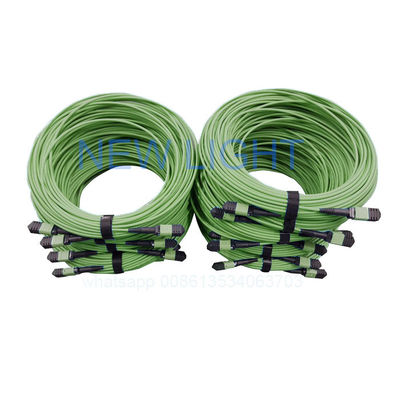 kupować 12 rdzenia OM4 MPO MTP Kabel z długą długością i łącznikiem MPO online manufacture