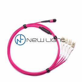 kupować Patchcord OM4 100G 12-żyłowy kabel transmisyjny MTP online manufacture