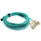 PVC / LSZH Materiał Kabel MPO MTP, kabel światłowodowy o długości niestandardowej