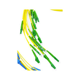 Nazwa