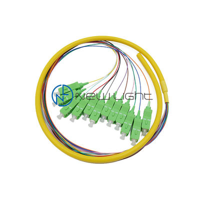 Nazwa