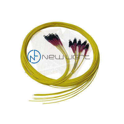 Nazwa